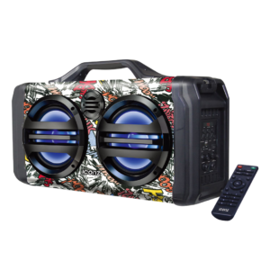 LARGE AUDIO